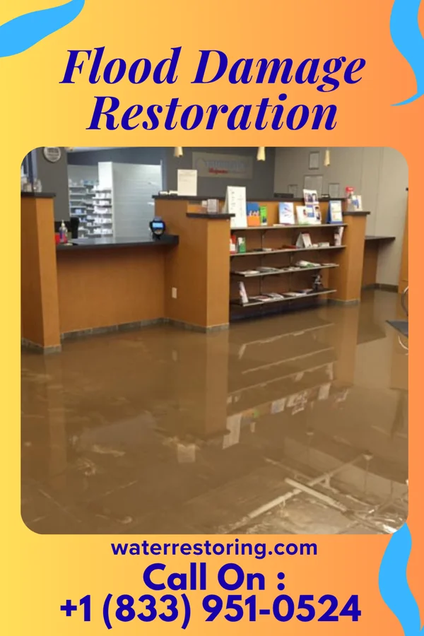 Flood Damage Restoration in Kennard, NE