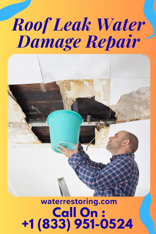 Roof Leak Water Damage Repair in Kennard, NE