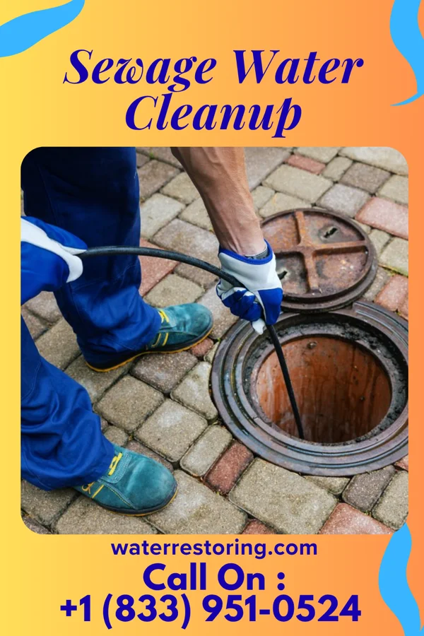 Sewage Water Cleanup in Kennard, NE